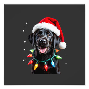 Zwarte Lab Labrador Kerstboom Licht Pyjama Hond Foto Afdruk
