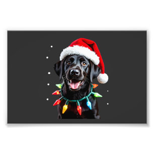 Zwarte Lab Labrador Kerstboom Licht Pyjama Hond Foto Afdruk