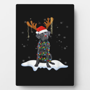Zwarte Lab Labrador Kerstboom Licht Pyjama Hond Fotoplaat