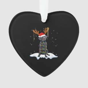 Zwarte Lab Labrador Kerstboom Licht Pyjama Hond Ornament