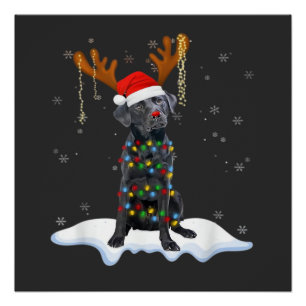 Zwarte Lab Labrador Kerstboom Licht Pyjama Hond Perfect Poster