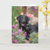 Zwarte Lab Moeder Moederdag Liefde Kaart (Gele Bloem)