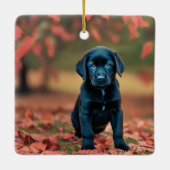 Zwarte Lab Puppy Keramisch Ornament (Achterkant)
