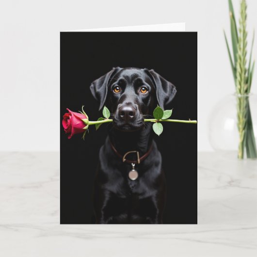Zwarte Lab Roos Valentijnkaart Kaart (Voorkant)