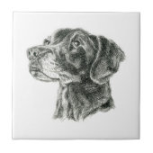 Zwarte Lab Tegeltje (Voorkant)