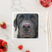 Zwarte laboratoriumhond met strooien op zijn neus servet (Insitu)