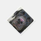 Zwarte laboratoriumhond met strooien op zijn neus servet (Hoek)