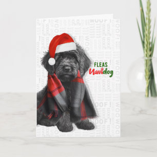 Zwarte Labradoodle Grappige Vlooien Navidog Kerstm Feestdagen Kaart