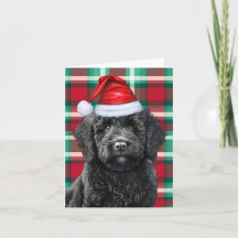 Zwarte Labradoodle Kersthond Holiday Plaid
