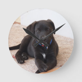 Zwarte Labradoodle Puppy Ronde Klok