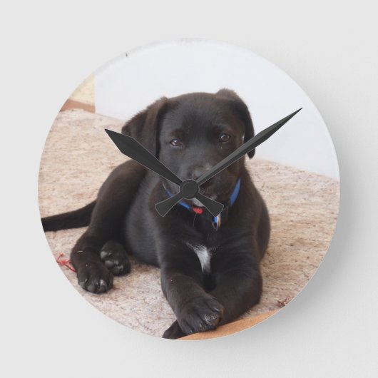 Zwarte Labradoodle Puppy Ronde Klok (Voorkant)