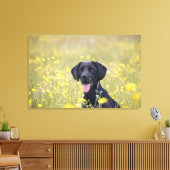 Zwarte labrador 16 maanden 2 canvas afdruk (Insitu (Woonkamer))