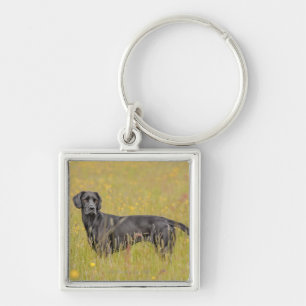 Zwarte labrador 16 maanden 2 sleutelhanger