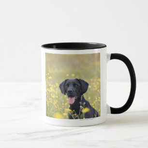 Zwarte labrador 16 maanden mok