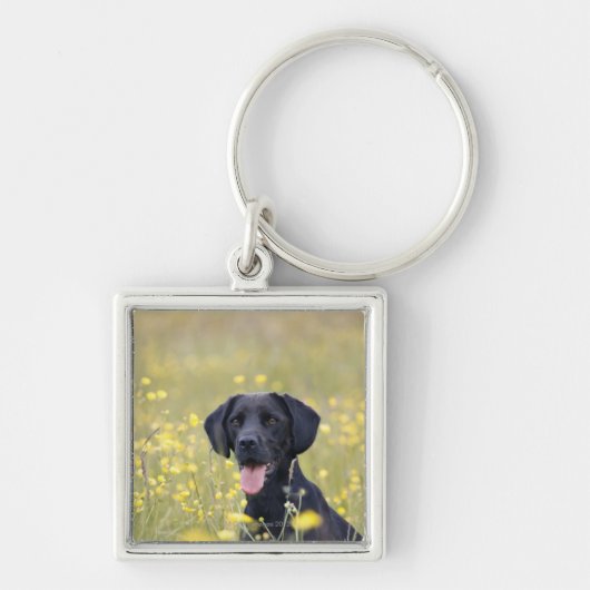 Zwarte labrador 16 maanden sleutelhanger (Voorkant)