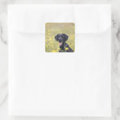 Zwarte labrador 16 maanden vierkante sticker (Tas)