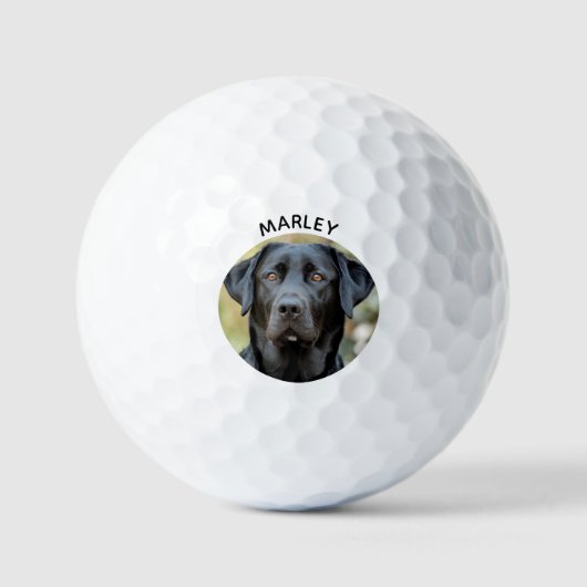 Zwarte labrador, aangepaste foto golfballen (Voorkant)