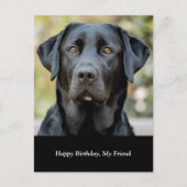 Zwarte Labrador, aangepaste fotopostkaart Briefkaart (Voorkant)