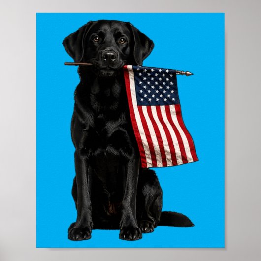 Zwarte Labrador Amerikaanse Vlag Grappig Goud Vast Poster (Voorkant)