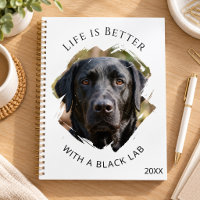 Zwarte Labrador citaat foto 2027