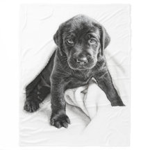 Zwarte labrador deken