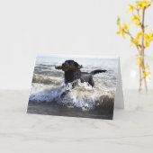 Zwarte Labrador die surf doornemen Kaart (Gele Bloem)