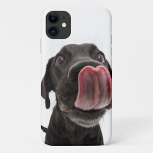 Zwarte labrador die zijn neus slaat Case-Mate iPhone case
