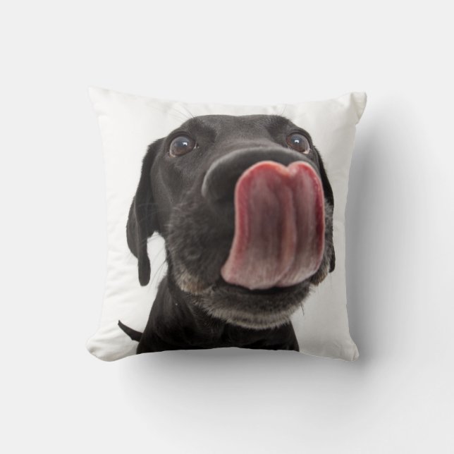 Zwarte labrador die zijn neus slaat kussen (Voorkant)