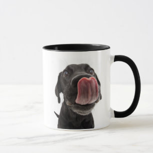 Zwarte labrador die zijn neus slaat mok
