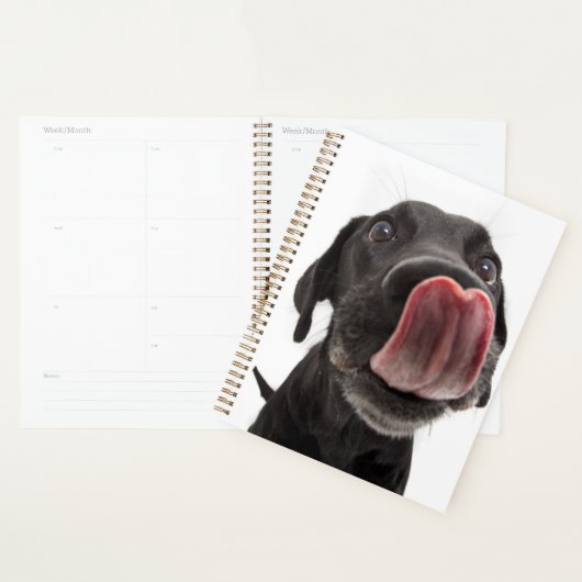 Zwarte labrador die zijn neus slaat planner (Display)