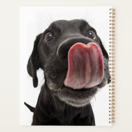 Zwarte labrador die zijn neus slaat planner (Achterkant)