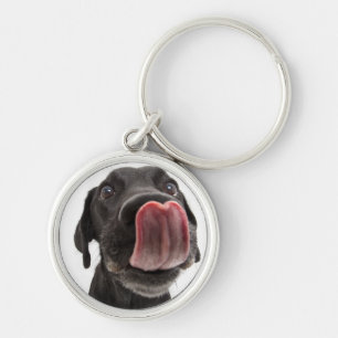 Zwarte labrador die zijn neus slaat sleutelhanger