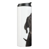Zwarte labrador die zijn neus slaat thermosbeker (Gedraaid links)