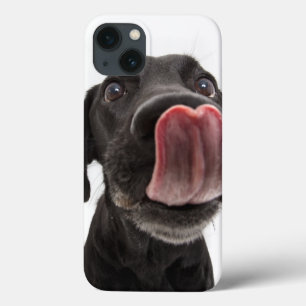 Zwarte labrador die zijn neus steekt Case-Mate iPhone case