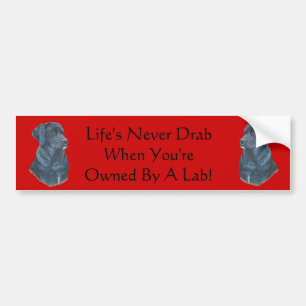 zwarte labrador dog portret originele leutslogan bumpersticker