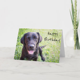 Zwarte labrador Happy Birthday-kaart Kaart