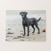 Zwarte labrador hond op het strand legpuzzel (Horizontaal)