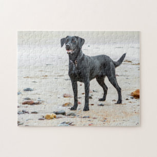 Zwarte labrador hond op het strand legpuzzel