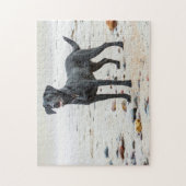 Zwarte labrador hond op het strand legpuzzel (Verticaal)