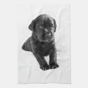 Zwarte labrador hondpuppy theedoek