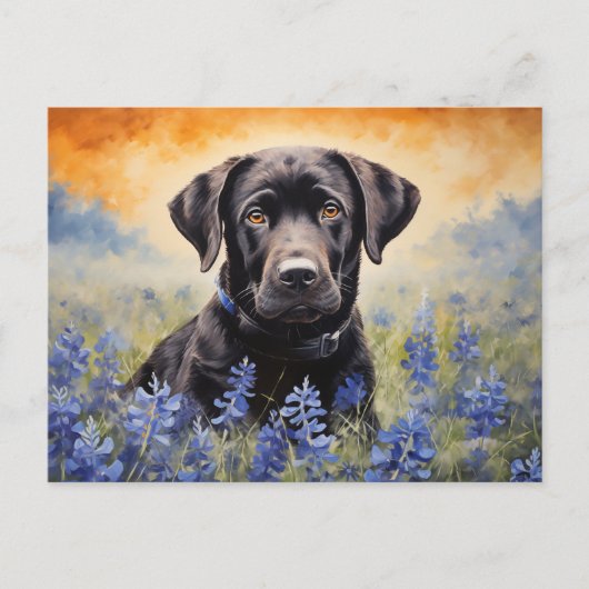 Zwarte Labrador in Bluebonnets Briefkaart (Voorkant)