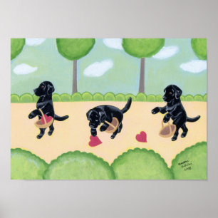 Zwarte labrador in de bosbouw poster
