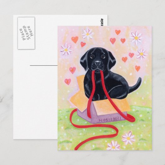 Zwarte labrador in de doos Schilderen Briefkaart (Voorkant / Achterkant)