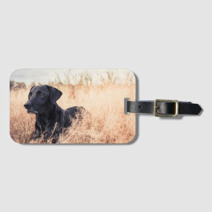 Zwarte labrador in droog gras bagagelabel