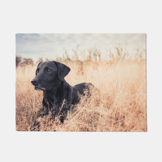 Zwarte labrador in droog gras deurmat (Voorkant)