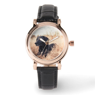 Zwarte labrador in droog gras horloge