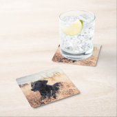 Zwarte labrador in droog gras kartonnen onderzetters (Insitu)