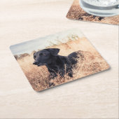 Zwarte labrador in droog gras kartonnen onderzetters (Schuin)