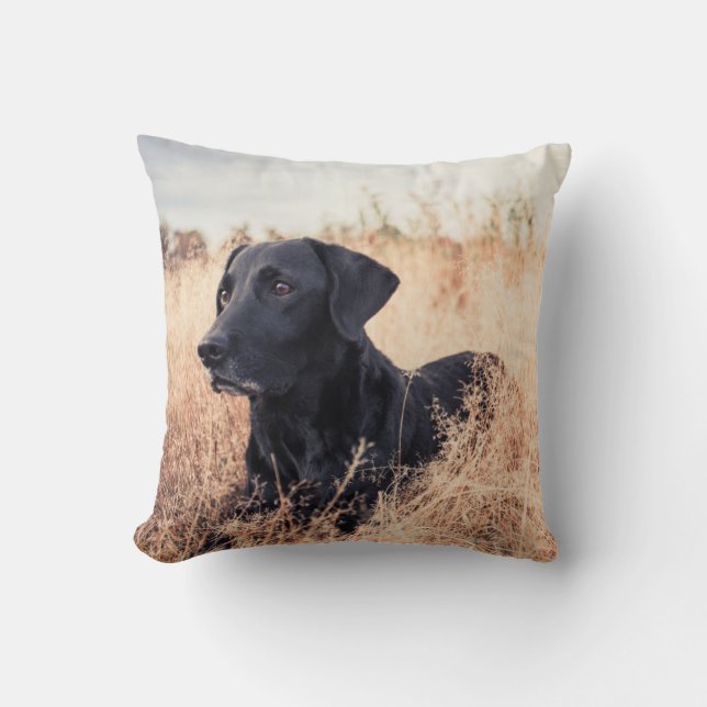 Zwarte Labrador in droog gras Kussen (Voorkant)