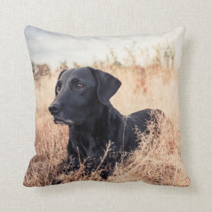 Zwarte Labrador in droog gras Kussen
